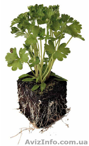 Минеральные удобрения,  микроэлементы и стимуляторы роста #311218