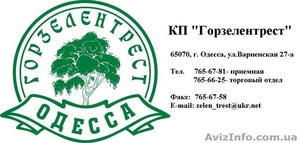 Работы по благоустройству и озеленению территории,  КП Горзелентрест #334419