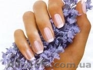 Школа красоты - курсы #321512