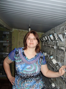 Продам шиншилловодческую ферму #334750