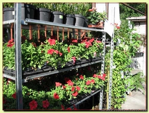 Цветочные стелажи #315761