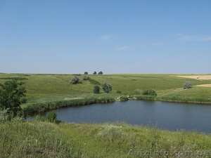 ПРОДАМ зарыбленный ПРУД! #330989