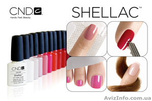 Покрытие Shellac Киев #311458