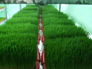 Открытие представительства ТМ Жизнь #320544