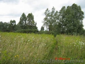 Продам участок 45 км - от Киева  #347315