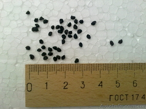 Семена ялтинского лука #367098