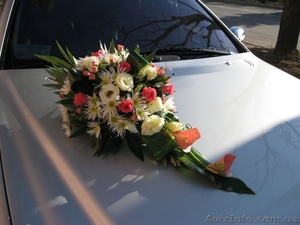 Украшеня на машины на свадьбу.Симферополь, Ялта, Евпатория, Алушта, Севаст #362967