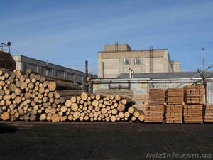 Пиломатериалы,  Сухостой,  Кругляк,  свежий спил. Предоставляем все услуги Экспорта #368919