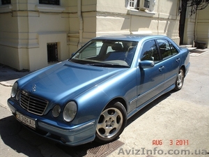 Черновцы,  Виктория 095 19 36 183 #358851