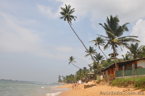 Туризм в Шри-Ланку,  Вьетнам,  Тайланд без туроператоров. Дикарем. #358248
