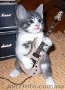 Уроки на гитаре одесса #338714