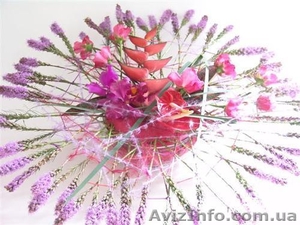 Курси флористики у Львові,  курси флористів #351010