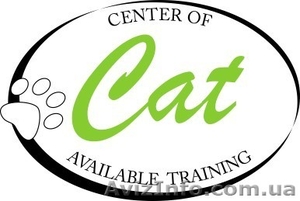 Английский,  Чешский,  Сербский,  Хинди #339928