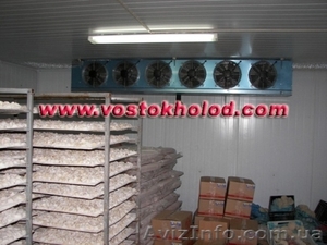 Холодильное промышленное и торговое оборудование Донецк #364582