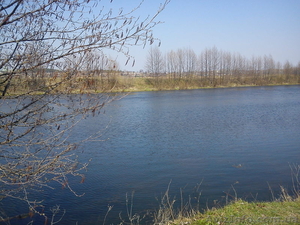 продам дом земельный участок #349044