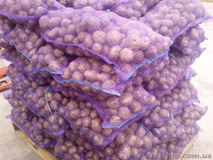 оптом картофель                     #353455