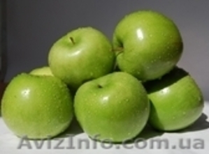 Требуется агроном #365855