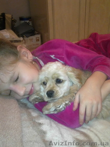 Пропала собака. #357400