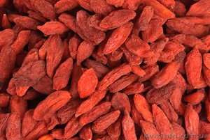 Ягода годжи goji - секрет здоровья и долголетия. #360253