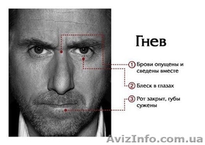 Тренинг по выявлению лжи #363086