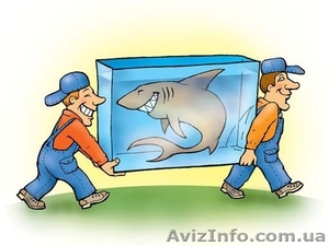 Услуги грузчиков. Город Харьков #341196