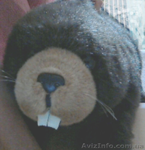 Большая мягкая игрушка Бобер #356546