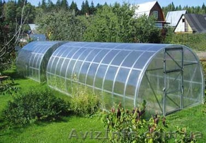 Теплица Днепропетровск #339804