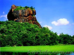 Каникулы на Шри-Ланке #367141