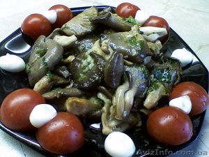 Пакеты для мицелия вешенки #350719