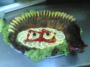 Ищу инвесторов для создания бизнес-проекта #362851