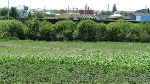 (хозяин) продажа участка 12км от Киева,  3км от Житомирской трассы #347875