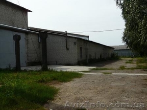 Пропонується до продажу готовий бізнес в с. Мошни  #373262