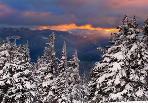 Недорогой отдых в Закарпатье из Харькова! Мукачево-Берегово #377333