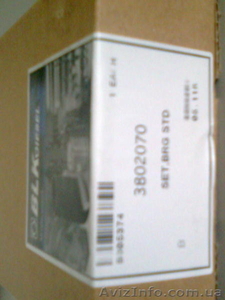 3802070 вкладыши коренные Cummins #386521