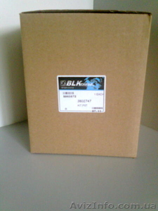 3802747 поршень Cummins #386505