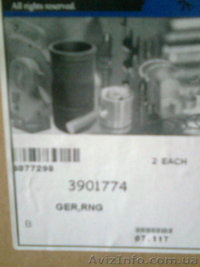 3901774 венец маховика Cummins #386608