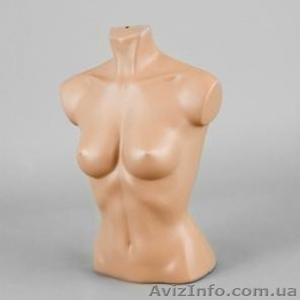 Продам женские манекены(торс) б/у  #383673