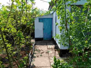 Продажа дачного участка в Сакском районе #371716