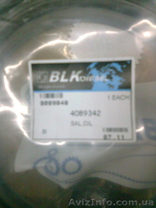 4089342,  3925529,  2909410,  3973745, 3934486, 5259499 сальник коленвала Cummins #386547