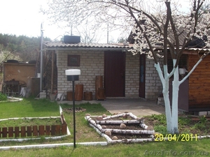 Продам полностью меблированную,  ухоженную дачу  42 км от Черкасс #394338