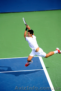 Большой теннис,  обучение,  активный отдых #395283