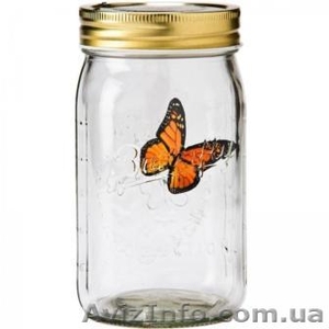 Бабочка - робот в банке. Электронный гаджет на солнечных батареях #380196