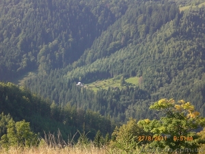 Зелёный отдых в Карпатах 