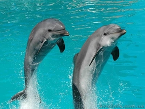 Экскурсии выходного дня по родному краю #392580