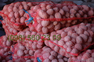 Продам Картофель Картошку Оптом семенную и продовольственную #377261