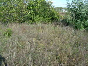 Продам 6 соток приватизированной земли #394514