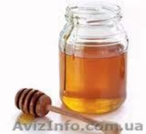 Медовый массаж. Хороший опыт. Киев! #392533