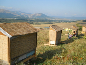 Зелёный туризм,  сон на ульях #374138