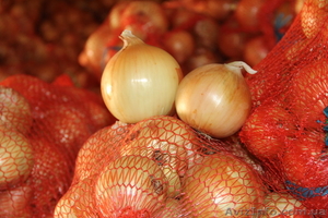 ч/пДар поля 0502913666/0955255888 #371435