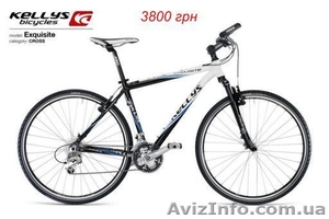 Kellys 10 EXQUISITE #388443